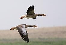 060065cd-3ce7-220x152.jpg