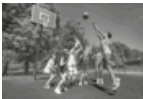 060067av-4309-143x99.png