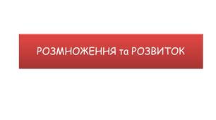 (Копія) РОЗМНОЖЕННЯ та РОЗВИТОК