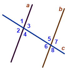 060067op-6418-224x224.png