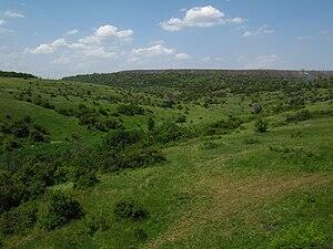 060068hl-0279-300x225.jpg