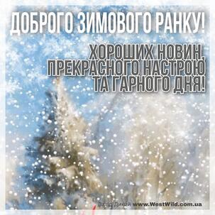 060068ql-51d0-303x303.jpg