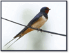 06006978-4fb8-100x77.png
