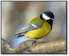 0600697t-75f6-100x81.png