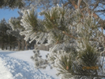060069d4-96c8-151x114.png