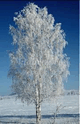 060069dj-687f-80x124.png