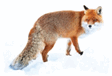 060069f5-7ef1-112x76.png