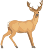 060069fp-5259-89x101.png