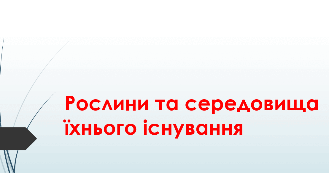 3 раскройте многообразные связи человека с природой