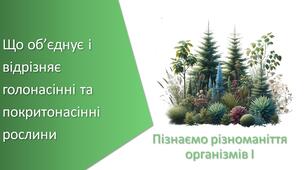 Тест з уроку Пізнаємо природу для 5 класу на тему «Що об’єднує і відрізняє голонасінні та покритонасінні рослини»