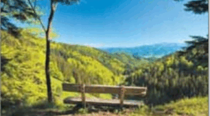 Natur und Umwelt