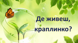 Заняття з пріоритетом пізнавального розвитку "Де живеш, краплинко?" ( молодша група )