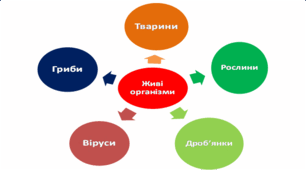  Організми та їх властивості. Методи дослідження організмів. Як живляться та дихають тварини. Корм для тварин та способи його добування
