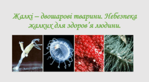 Жалкі – двошарові тварини. Небезпека жалких для здоров’я людини