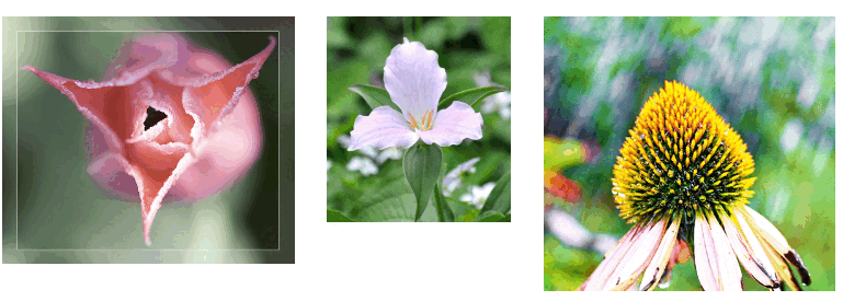 06006n6o-9e92-769x275.png