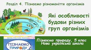 Які особливості будови різних груп організмів