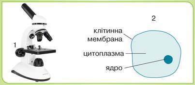 06006n7v-b96d-403x177.jpg