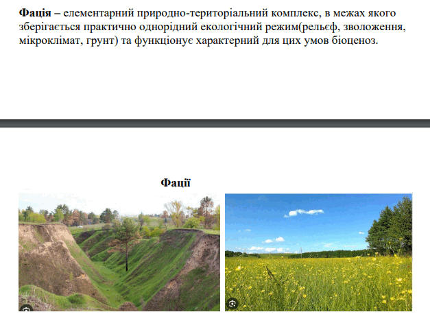 06006nxp-4018-627x471.png