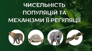 Чисельність популяцій та механізми її регуляції