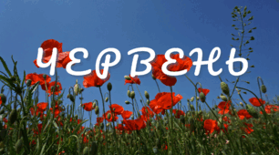 Пізнавальне читання. Місяці. ЧЕРВЕНЬ...