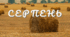 Пізнавальне читання. Місяці. СЕРПЕНЬ -  ЖОВТА АКВАРЕЛЬ