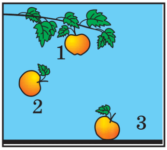 06006pfj-539c-346x311.png