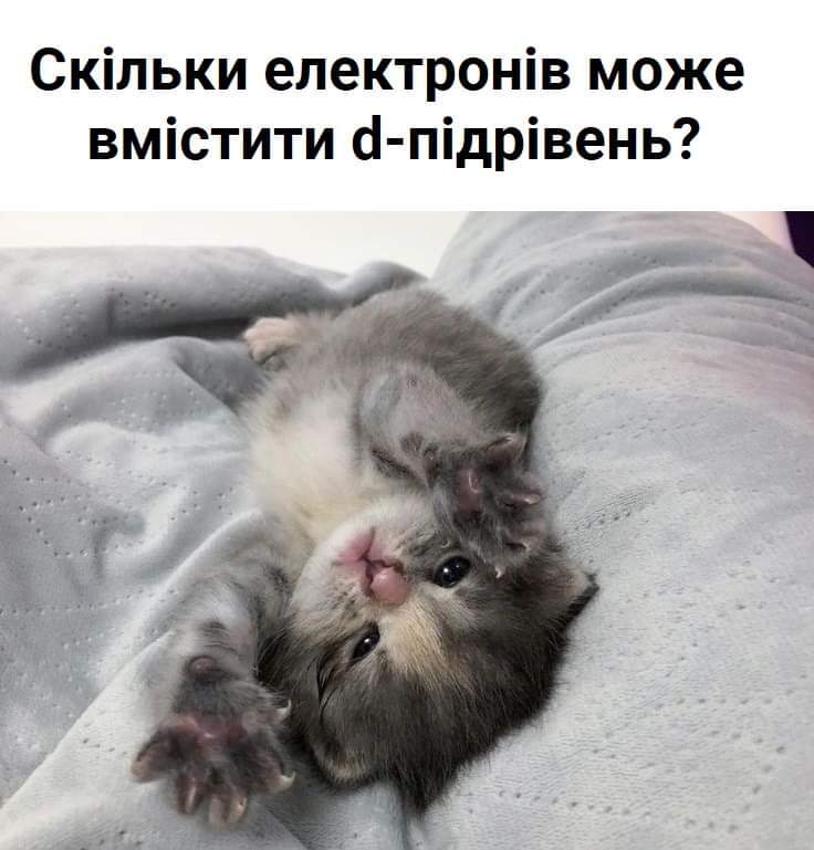 06006ruu-4960-736x769.jpg