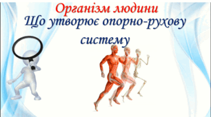 Що утворює опорно-рухову систему
