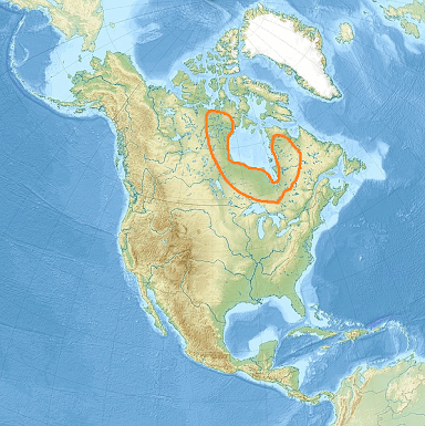 06006s9x-33c7-384x385.png
