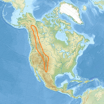 06006sb9-bc79-342x343.png