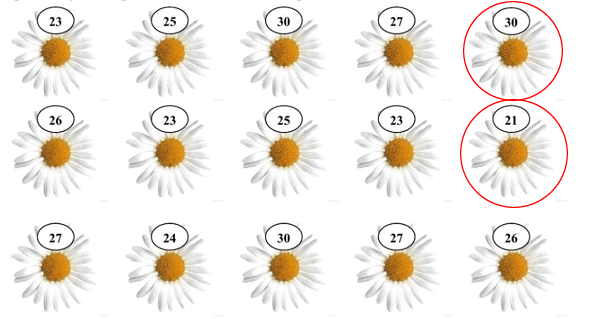 06006sut-c1cc-589x319.png