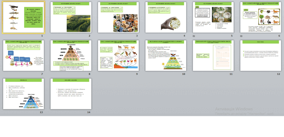 06006sy4-68cd-940x454.png