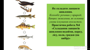 Презентація для 6 класу на тему "Як складати ланцюги живлення.  Колообіг речовин у природі. Ланцюг живлення, як основна умова існування екосистем.  Практична робота №4 «Складання ланцюгів живлення водойми, парку, лісу, поля, грядки (на вибір)» "