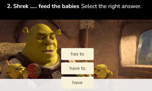 06006van-4064-496x298.png