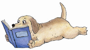 ANIMALS READING CARDS (the 1st GRADE)