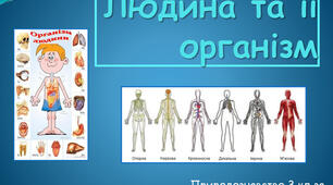 Опорно-рухова система людини