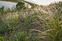 06006xtx-723d-220x146.jpg