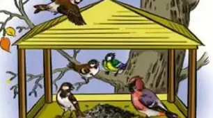 Як люди піклуються взимку про птахів