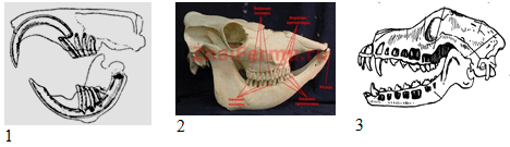 06006xyn-325d-468x135.png