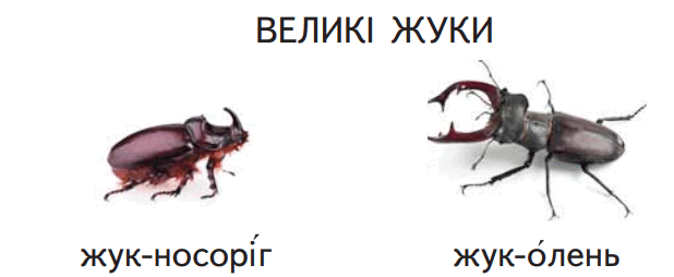 060070lv-f1bd-618x254.png