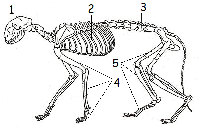 060070v0-d968-403x262.png