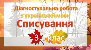 Діагностувальна робота "Списування" - 3 клас НУШ