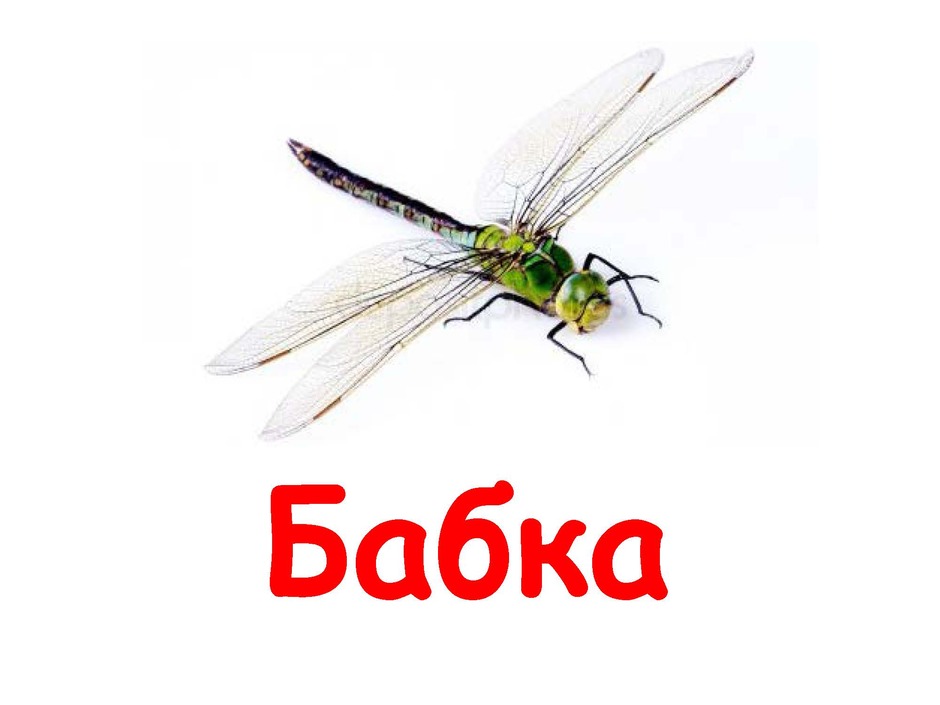 060071c3-2a40-940x705.jpg