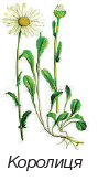 060074hn-d330-89x164.png