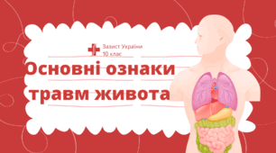 Презентація  на тему:"Основні ознаки травм живота"