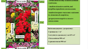 Цікаві задачі з елементами STEM-освіти.