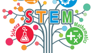 STEM-урок математики на тему "Периметр і площа прямокутника"