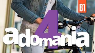 Контрольна робота для 10 класу (тест 4) Adomania 4