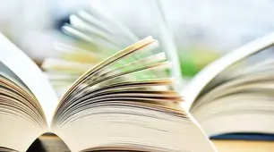 6 клас НУШ. Діагностувальна робота . Відмінювання та правопис іменників 