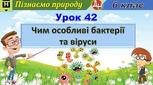 Відеоурок "Чим особливі бактерії та віруси"